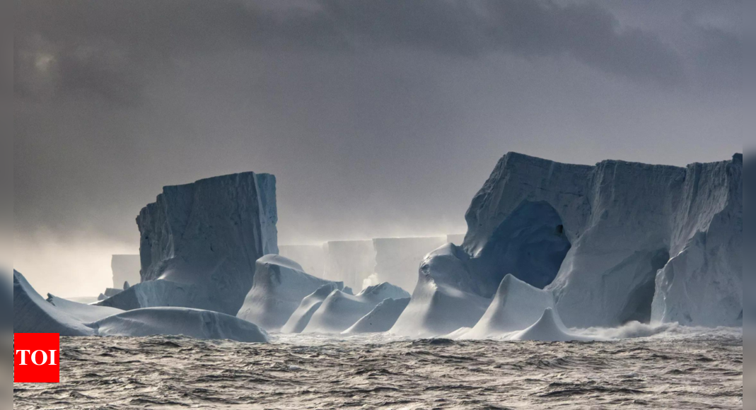 First map of vegetation throughout Antarctica reveals a battle for the continent’s altering panorama