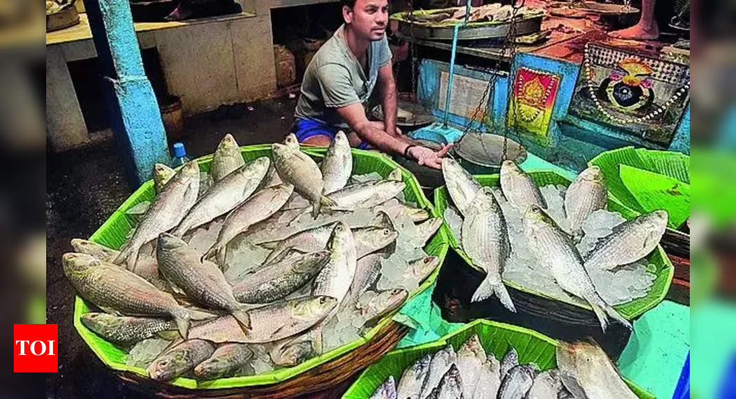 Hilsa for India not a present, it is an export: Bangladesh | India Information