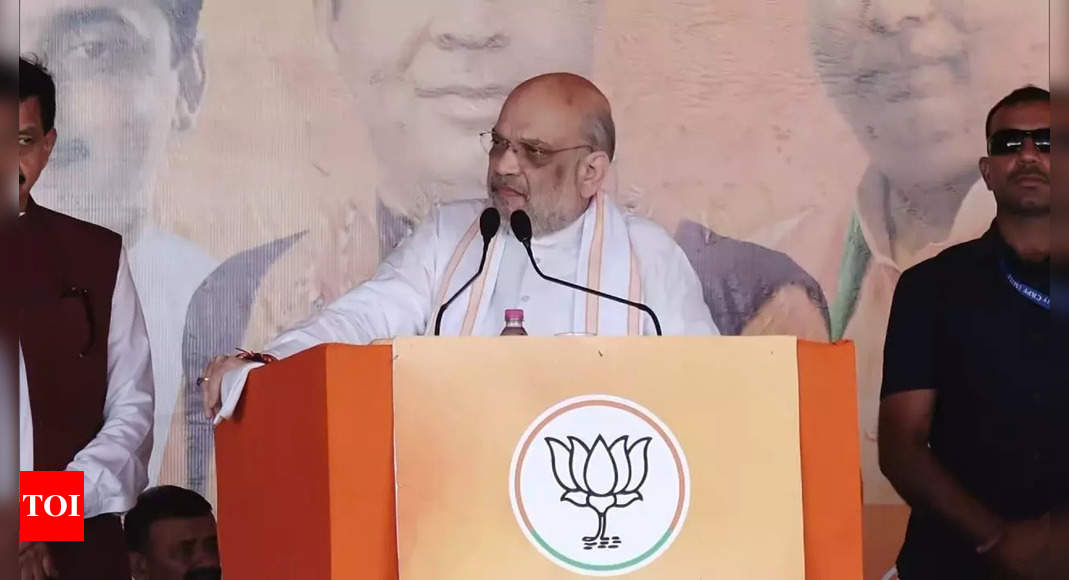 NC, Congress and PDP accountable for terrorism in J&Ok: Amit Shah in Udhampur rally | India Information