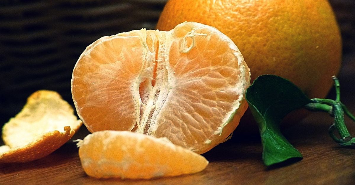 Bitcoin Rollup Citrea Deploys BitVM-Based mostly Bridge 'Clementine' on Testnet