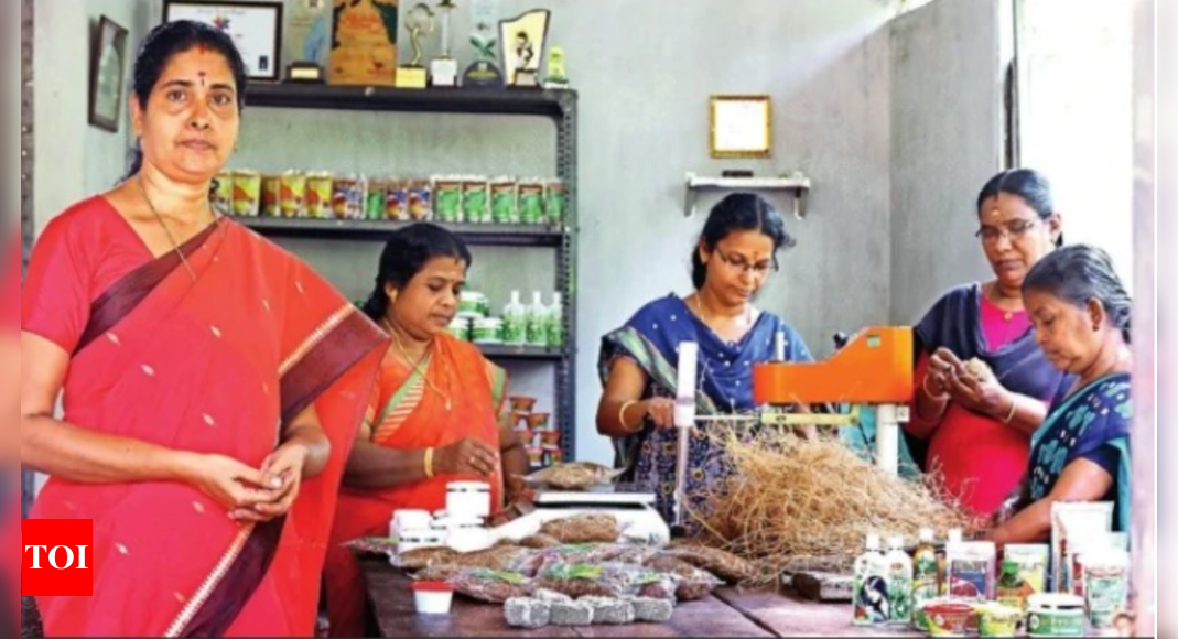 Change Begins Right here: 45 lakh and nonetheless counting- the Kudumbashree ambassadors | India Information