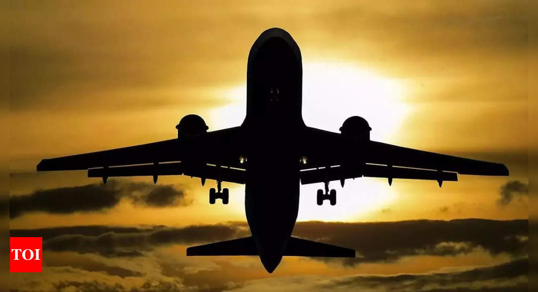 One other bomb scare: Air India specific from Dubai to Jaipur receives hoax risk | India Information