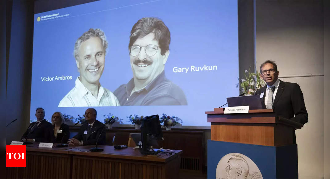 Who's Victor Ambros, Nobel Prize Winner in Physiology or Drugs 2024?