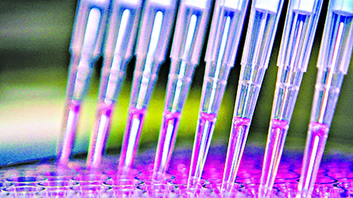 Why precision drugs in India can’t advance with out biobank legal guidelines | Evaluation