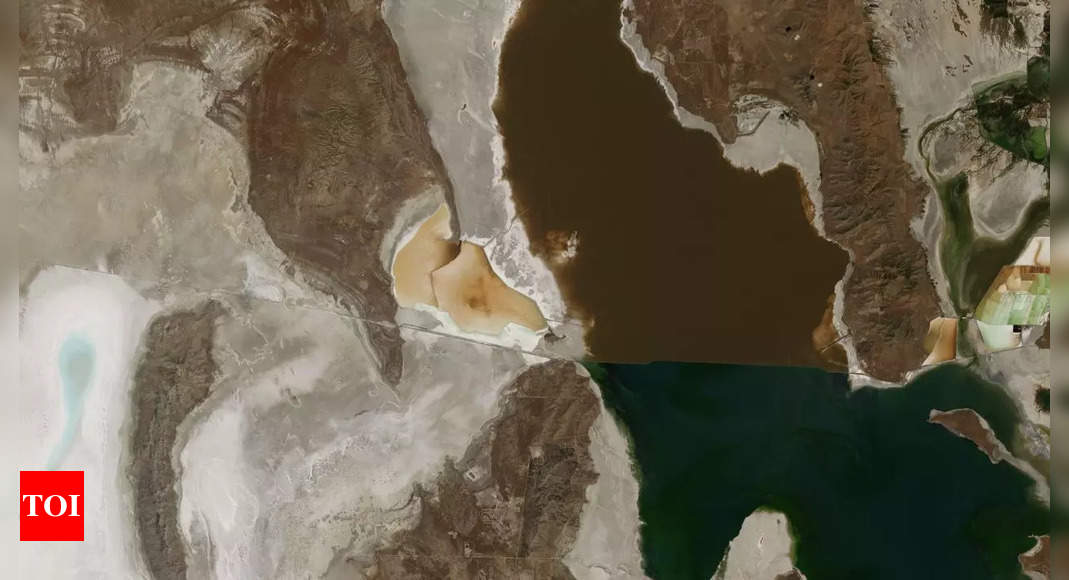 Nice Salt Lake water is declining quickly; specialists clarify why |