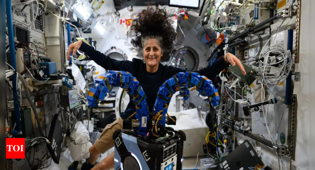 Sunita Williams instructional qualification: An inspiring journey from Navy to stars