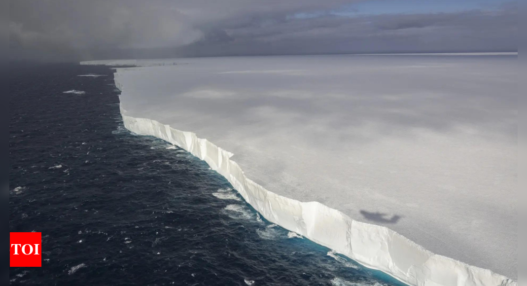 ‘World’s greatest iceberg’ drifts in the direction of Antarctic penguin island