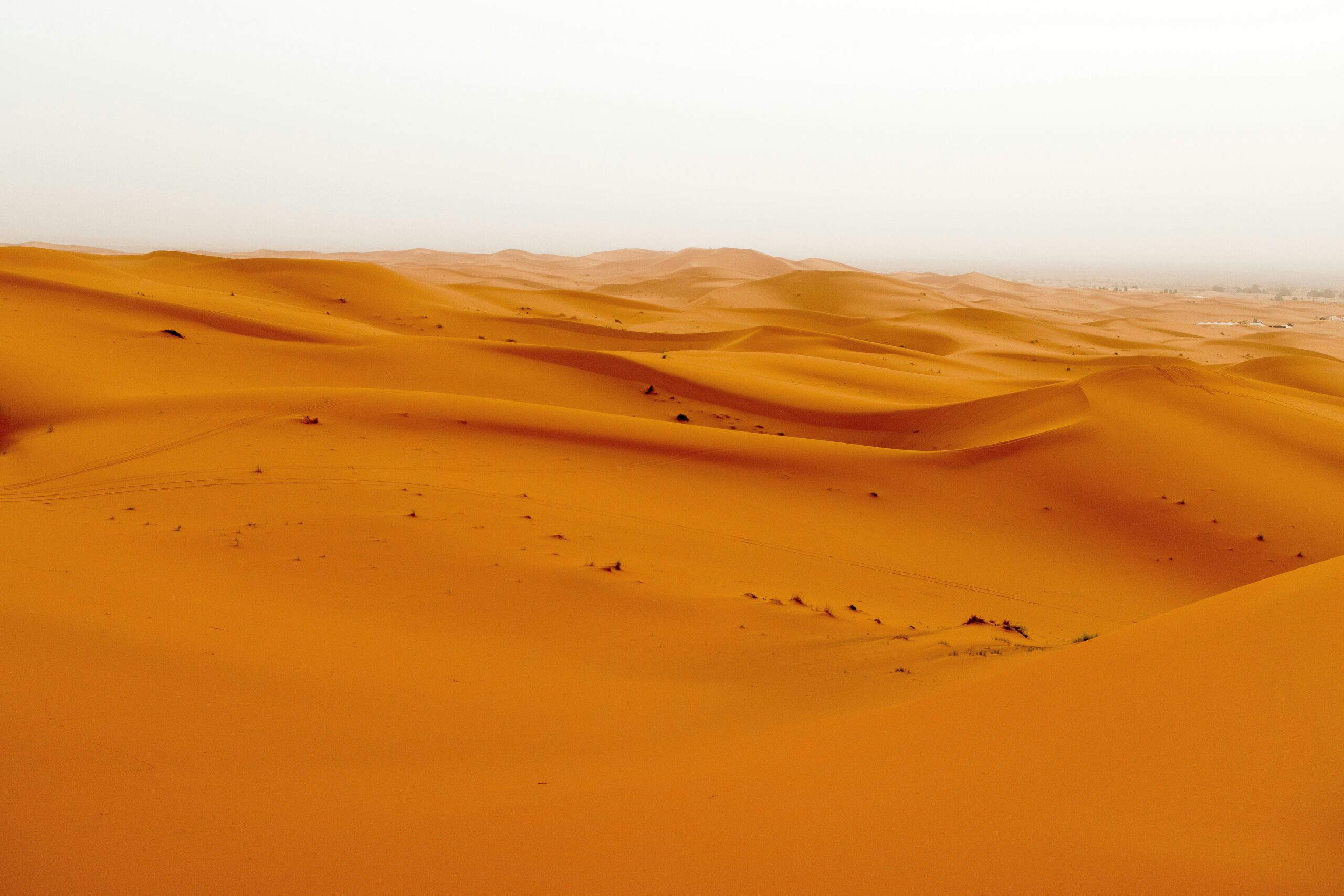 Sandboxes Are a Approach Out of the Regulatory Sandstorm