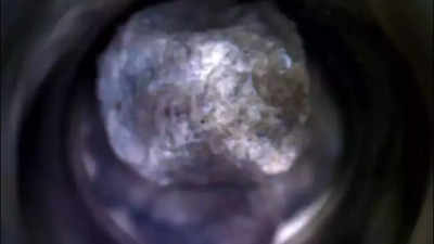 NASA Perseverance rover discovers ‘Silver Mountain’ rock pattern, unlocking Mars’ historical previous; right here’s what specialists say |