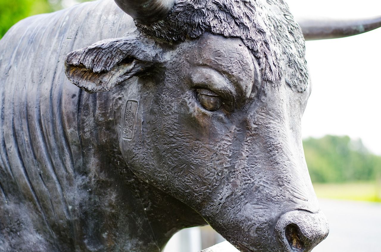 BTC Bull Market Is Far From Over, Historic Tendencies Tied to 200-Week Common Counsel