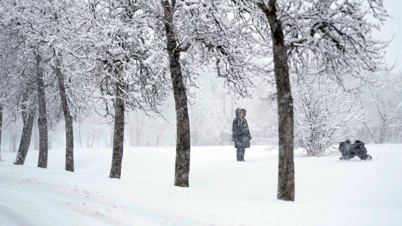 Scotland: A whole bunch of faculties shut because of snow, freezing climate