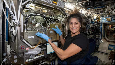 Garden watering, making microbes: What kept Nasa astronaut Sunita Williams busy in house?
