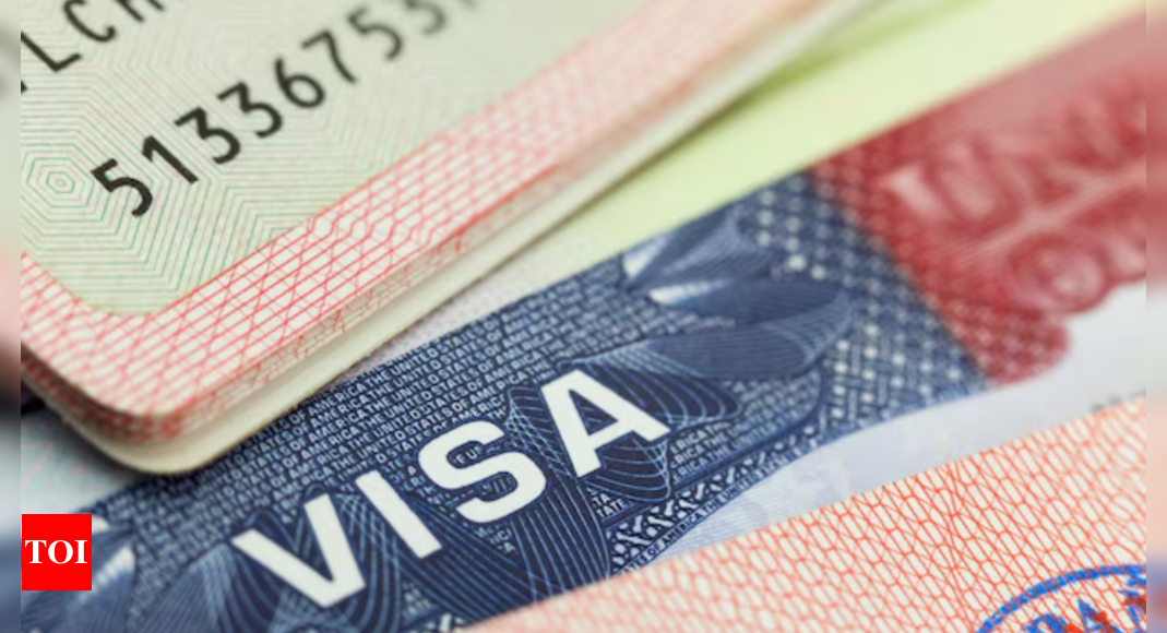 Silicon Valley's Indian-origin CEO of AI startup has message for Indian and international students on Ranjani Srinivasan's deportation: Remember that ...