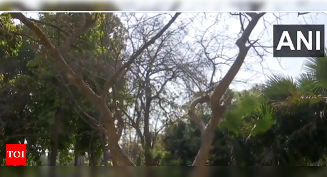 17-year-old boy, girl found hanging in Delhi's Deer Park | Delhi News