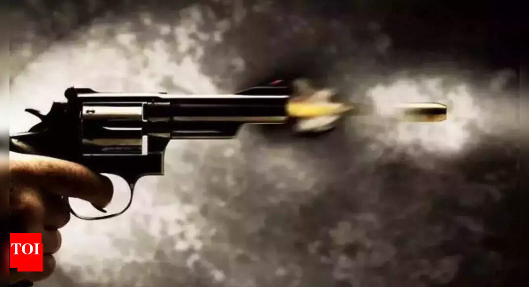 Chennai police kill snatcher from Maharashtra gang | India News