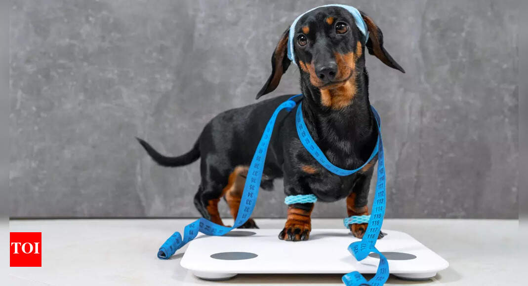 Confused with weighing scale readings? Fitness coach reveals the right time to weigh yourself |