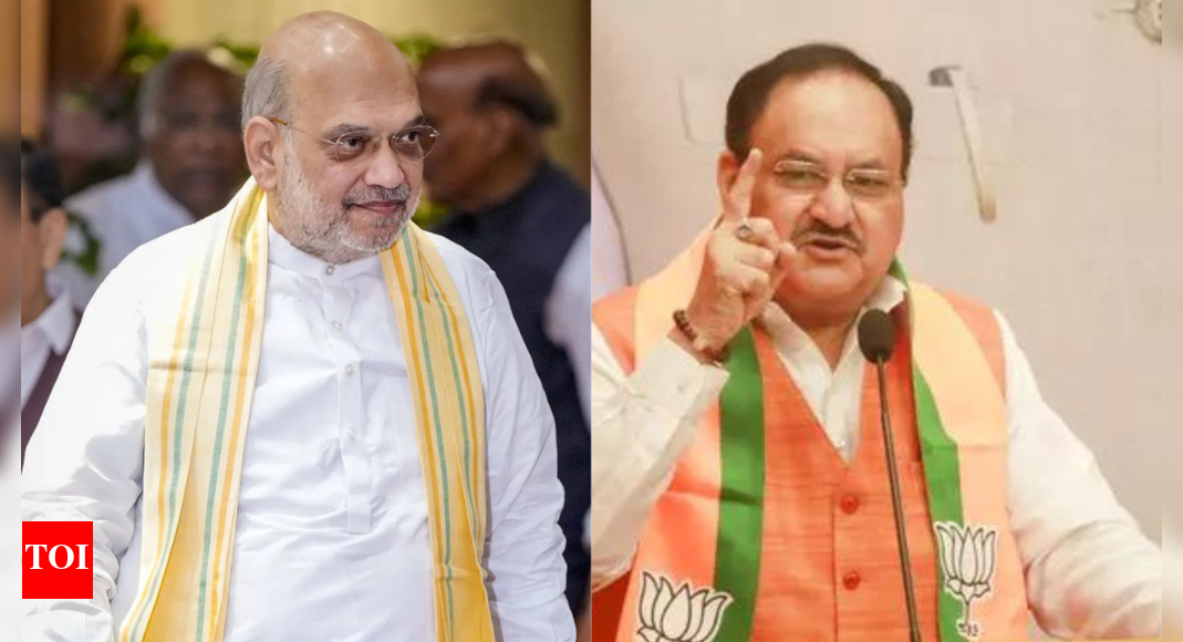Amit Shah, JP Nadda hail big BJP win in Assam panchayat polls