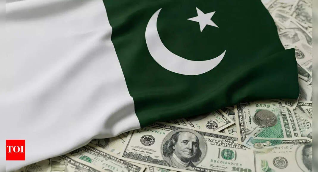 Pakistan gets $1,023 million as second tranche from IMF under extended fund facility