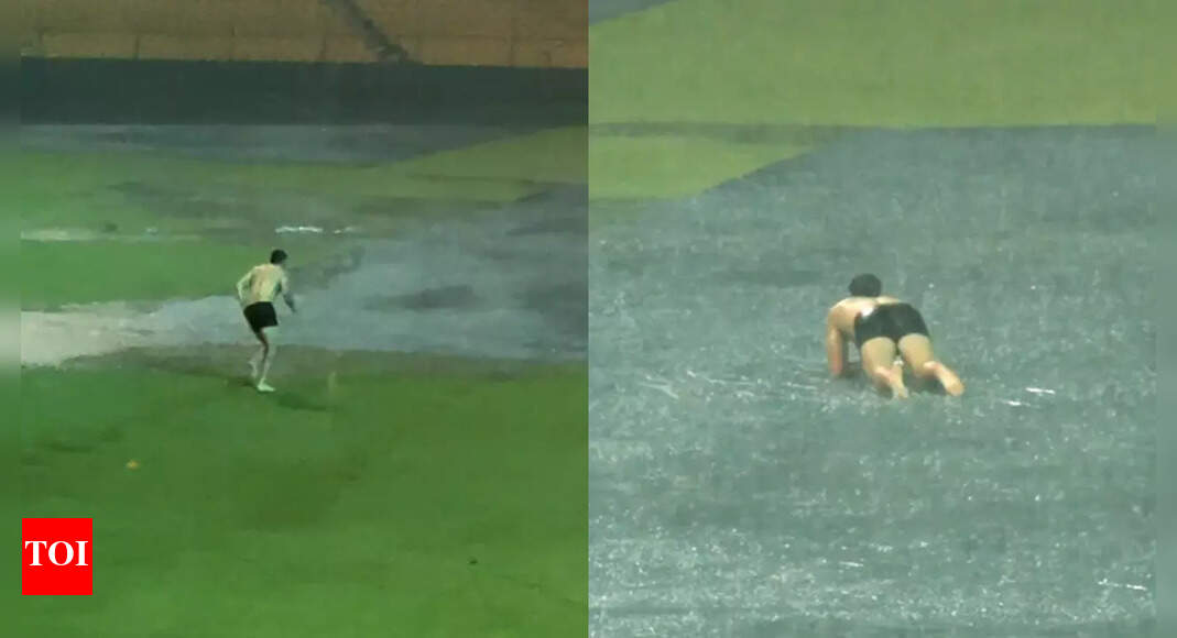 Tim David dives into puddle during RCB observe, teammates left in splits - WATCH