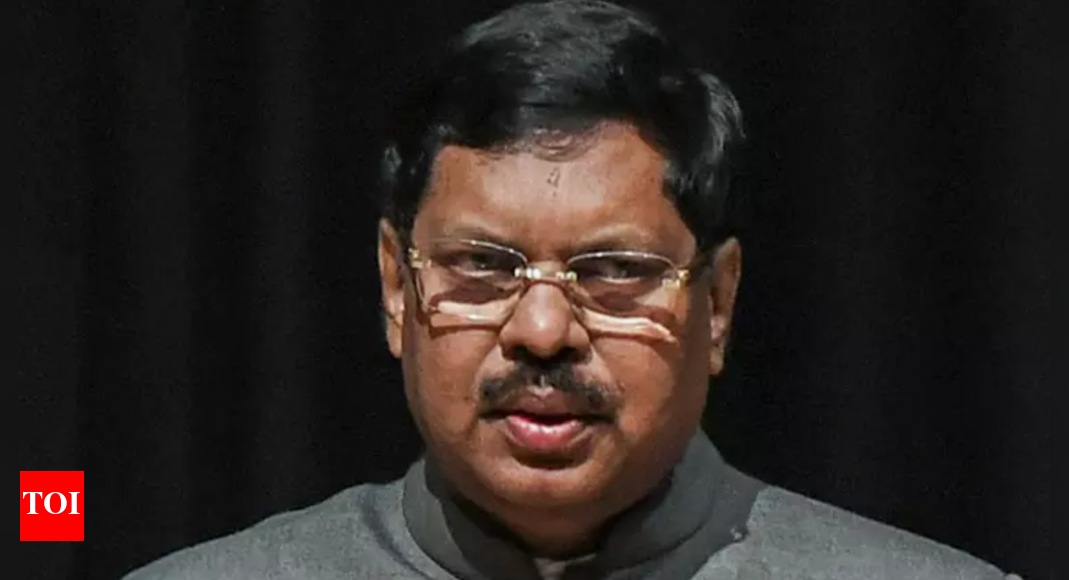 Lawyers skip vacation work, judiciary gets backlog blame: CJI B R Gavai | India News