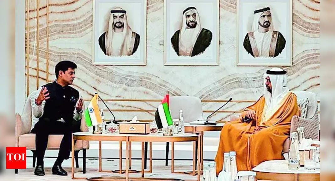 UAE, Japan reaffirm support to India's fight against terror | India News