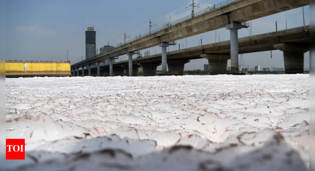 Yamuna dirtier in May, pollution load in major drains increases too | India News