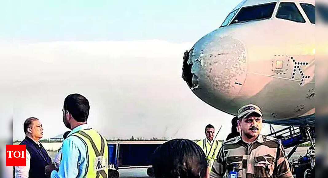 IAF helped IndiGo plane land safely in J&K after Pakistan snub | India News