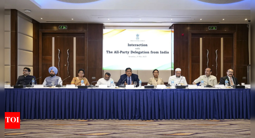 'End terror justifications, dismantle networks, take accountability': Indian delegation's big message to Pakistan in Bahrain | India News