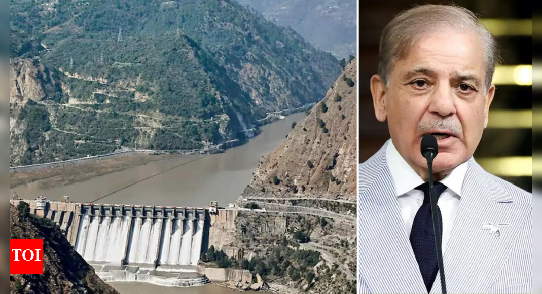 'Talks suspended till ... ': India rejects Pakistan PM Shehbaz Sharif’s call for dialogue on Indus Waters Treaty, terror, Kashmir | India News
