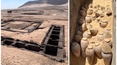 5,000-year-old sealed wine jars discovered in Egypt to reveal science of ancient wine making |