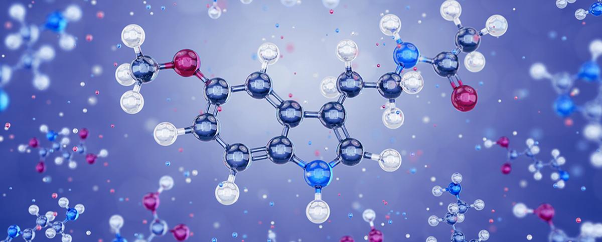 Circadian rhythms: how your body’s internal clock regulates your well being 