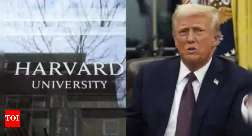 'Unsuitable vacation spot': Trump bars foreign students from coming to US to study at Harvard University; what subsequent?
