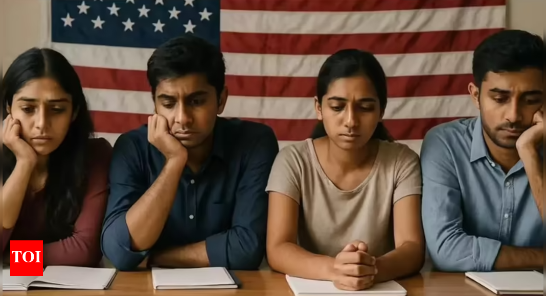 One in four international students in US were from India: At 4.2 lakh Indian students, fuelled surge in numbers during 2024