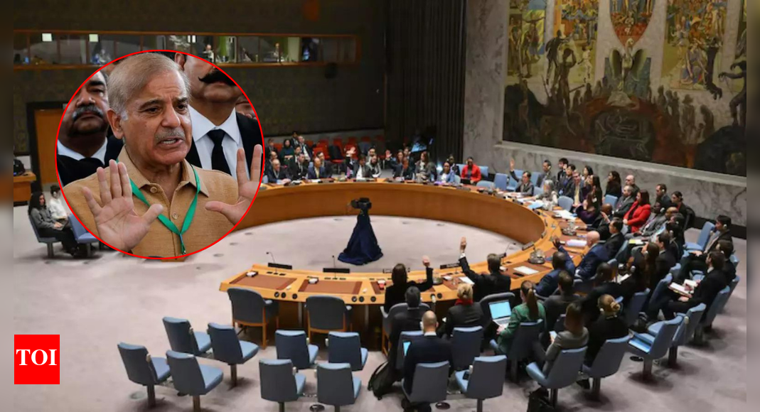 Pakistan's demand to chair 4 UN terror-related panels snubbed, finally given only one