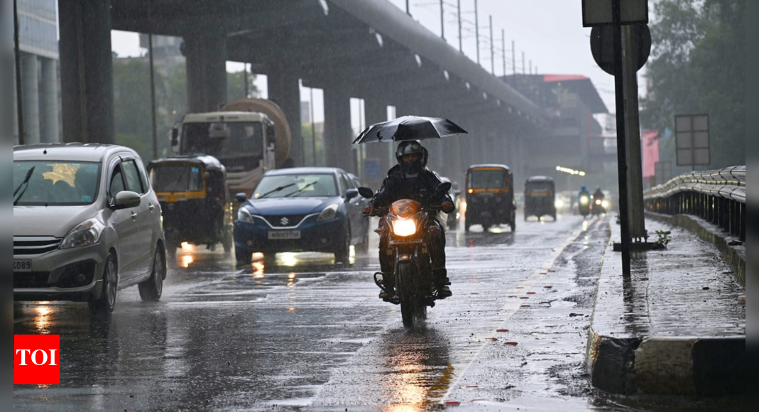 Heavy rains in Mumbai: Red alert for Raigad; trains and flight services hit | India News