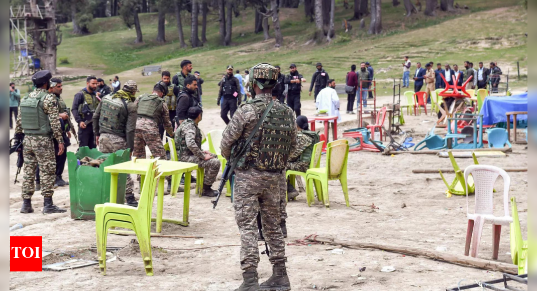 'Provided meals, shelter': 2 held for harbouring Pahalgam attack terrorists; disclose 3 were Pak LeT men | India News