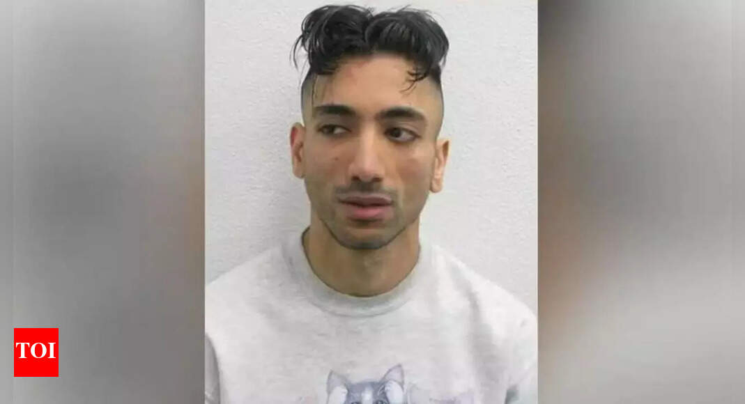 South Asian-origin Brit named as man arrested at Disneyland Paris for mock wedding to 9-year-old