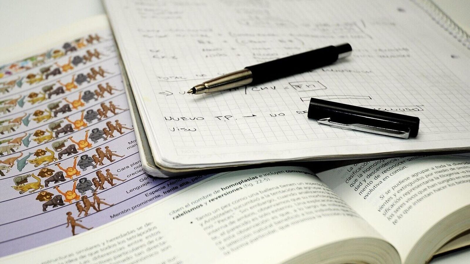 CUSAT CAT 2025: Kozhikode's ADL Zayaan tops B.Tech, check toppers list right here; counselling from today