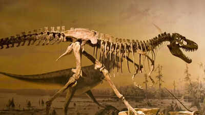 Dinosaurs had cancer 70 million years in the past, new study offers clues for cancer treatment |