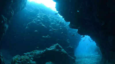 Unique, rare Earth elements unveiled on an underwater island; here’s what it means for the future |
