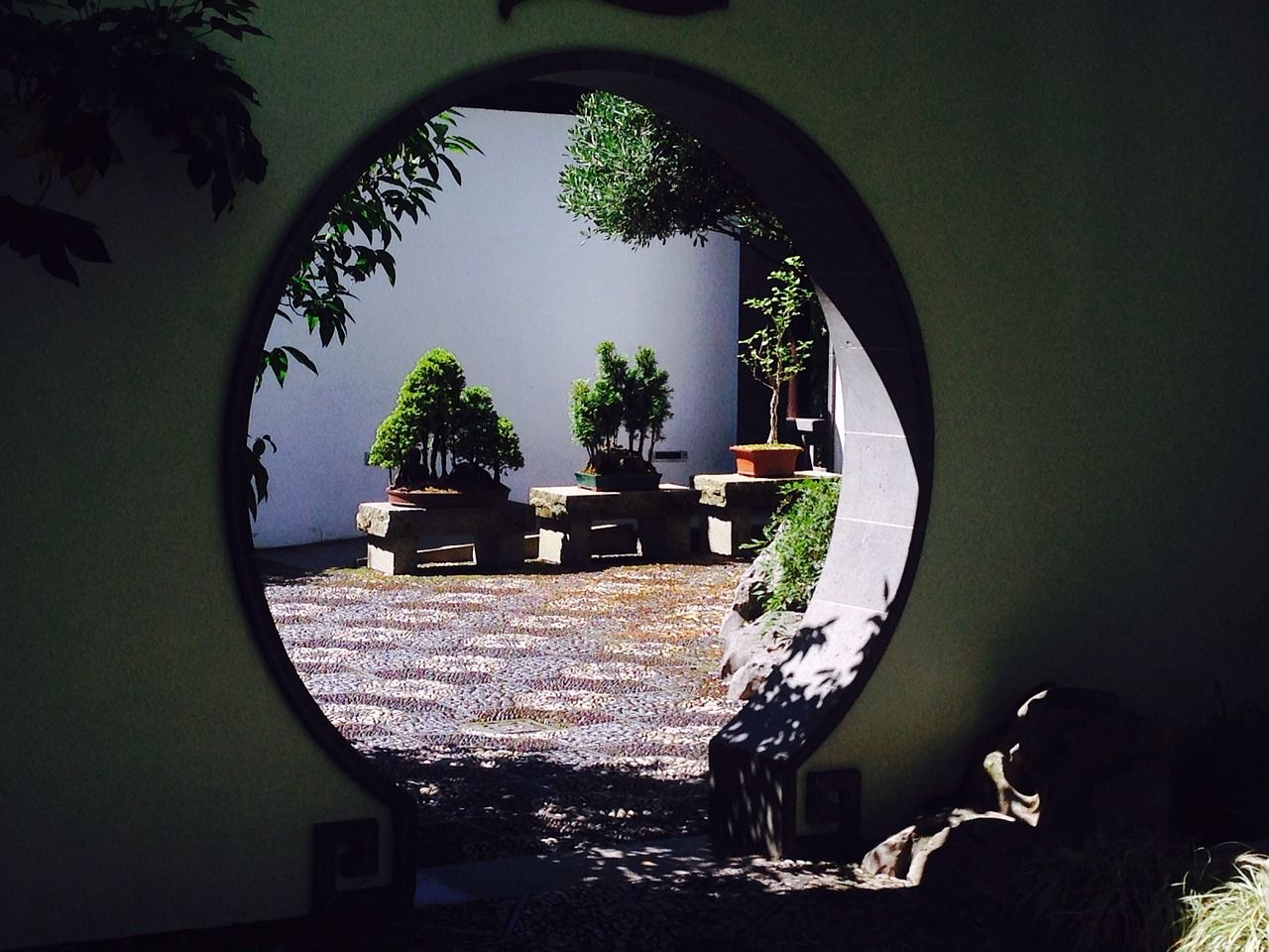 Coinbase Unlocks DeFi Opportunities for XRP, DOGE Holders on Base