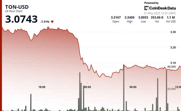 TON Falls 7% as Sell-Off Tied to Musk's Dispute of Telegram, xAI Partnership Continues