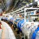 CERN collider reveals major clue to universe’s bias against antimatter