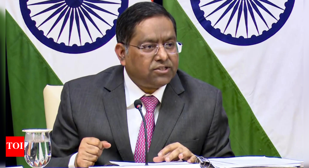 3 Indians abducted in Mali; MEA calls it 'deplorable'; seeks urgent action | India News