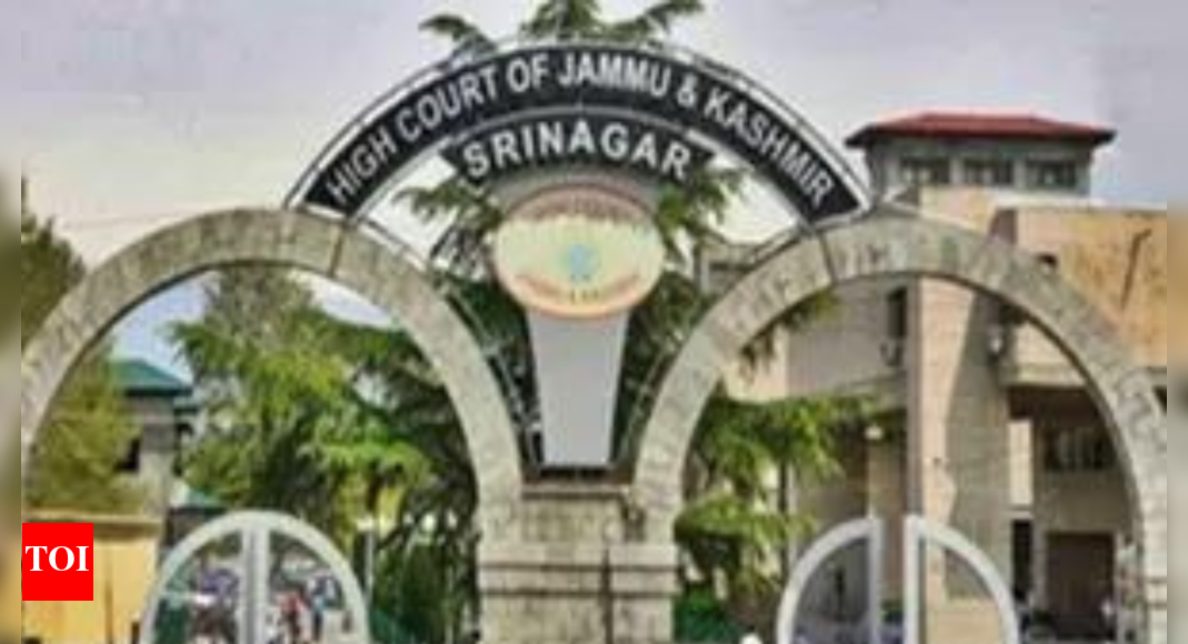 J&K HC acquits man in wife’s homicide, cites flawed probe | India News