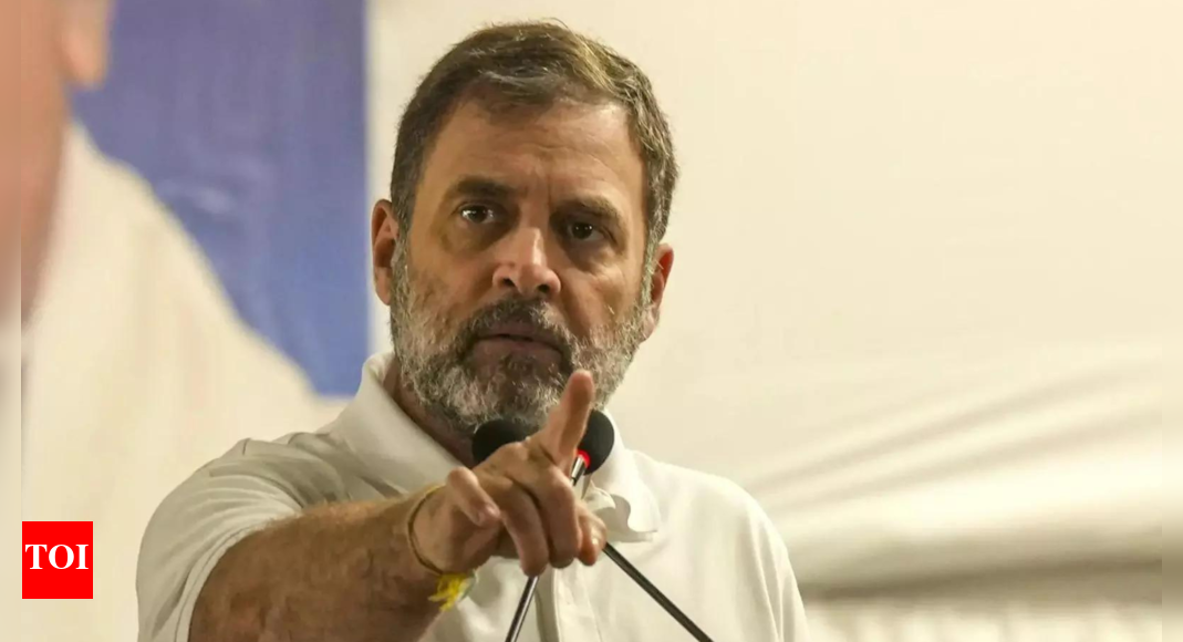 'AICC tried to revive AJL': Rahul Gandhi's counsel in Herald case | India News