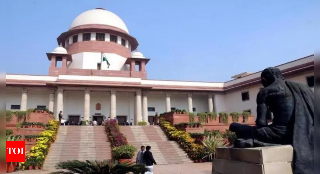 PIL in SC backs EC electoral rolls revision, says they must be regular | India News