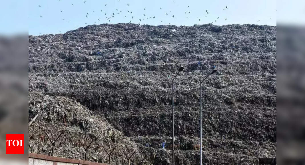 Centre to roll out special programme for remediation of 44% of legacy waste within a year | India News
