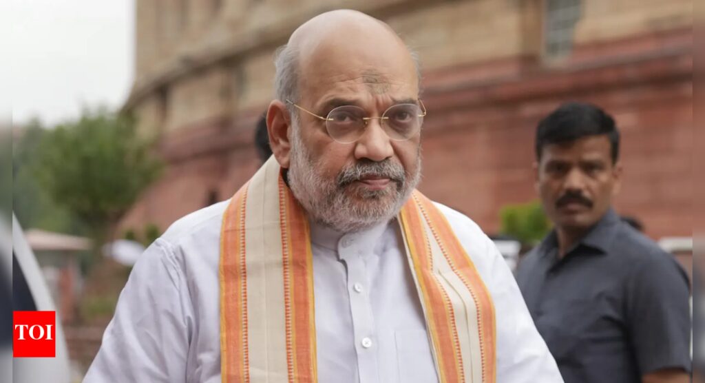 Shah: India’s rising stature to invite new security challenges | India News