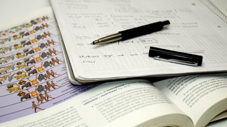 AP EAMCET Counselling 2025: Allotment phase 1 to be OUT today (Representational image)